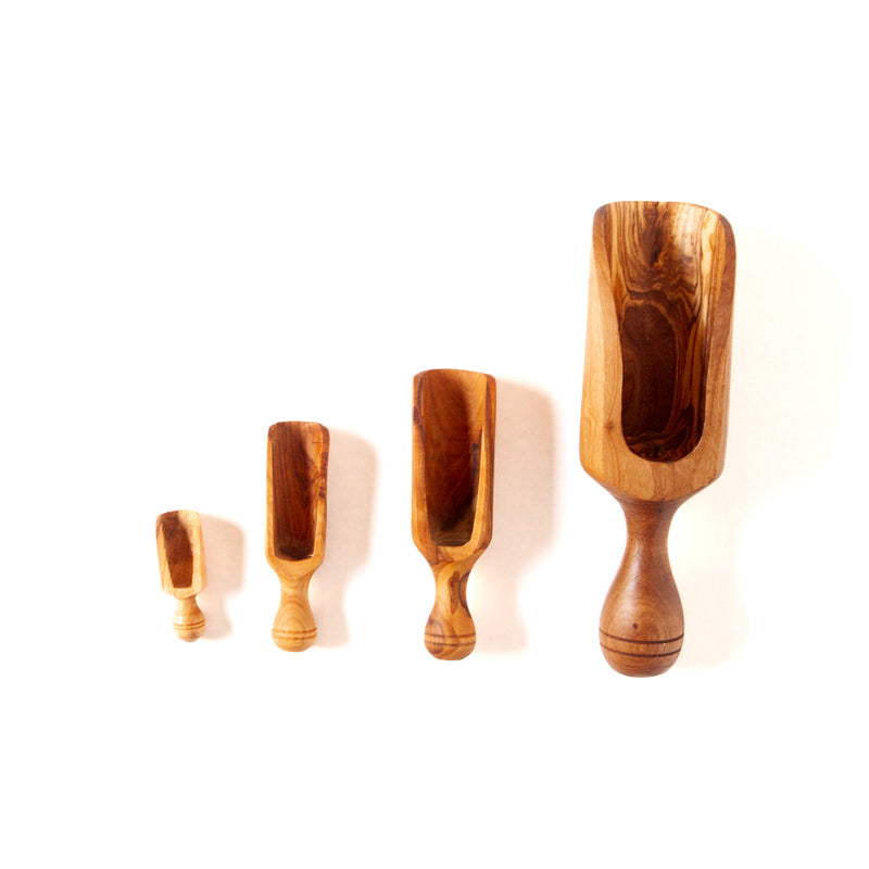 Set of four wooden scoops lined up on a plain white background
